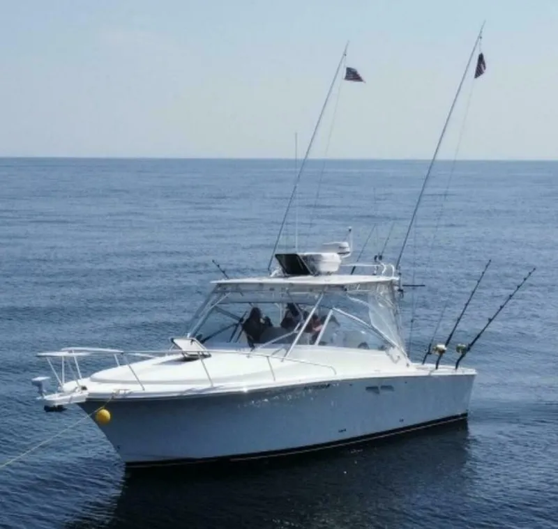 The Image of Luhrs 30 Open 2011 - 0