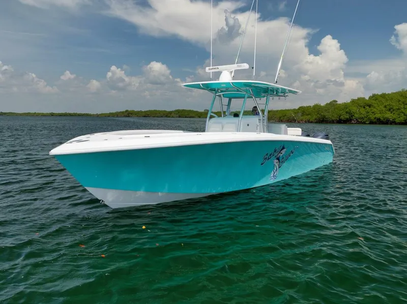 Slide: The Image of Bahama 2013 - 13