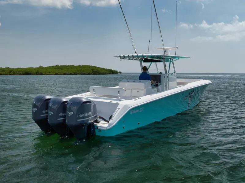 Slide: The Image of Bahama 2013 - 20