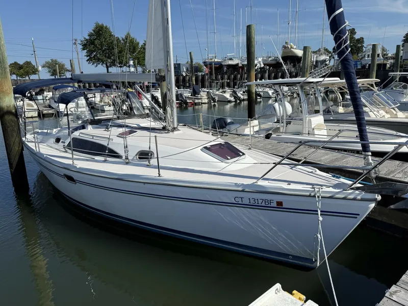 The Image of Catalina 309 2008 - 0