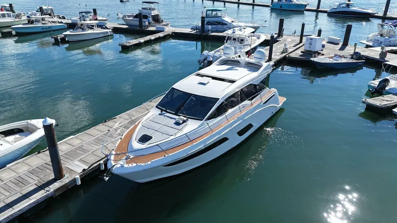 The Image of Sea Ray 460 Sundancer 2018 - 0