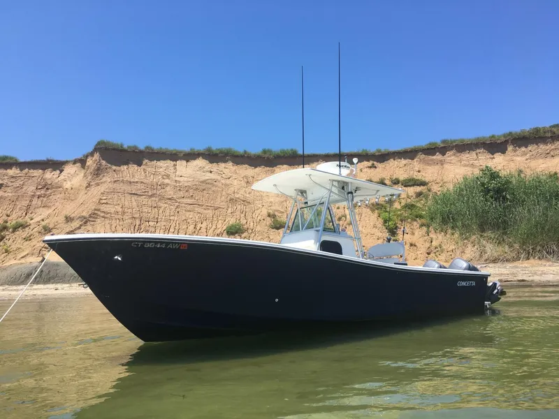 The Image of Regulator Marine 2000 - 0