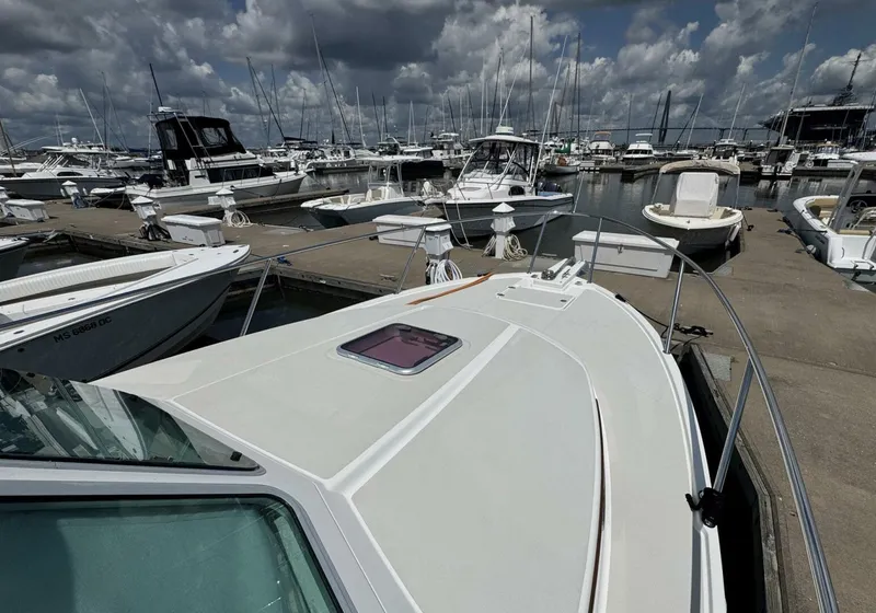 Slide: The Image of Back Cove 30 2013 - 6