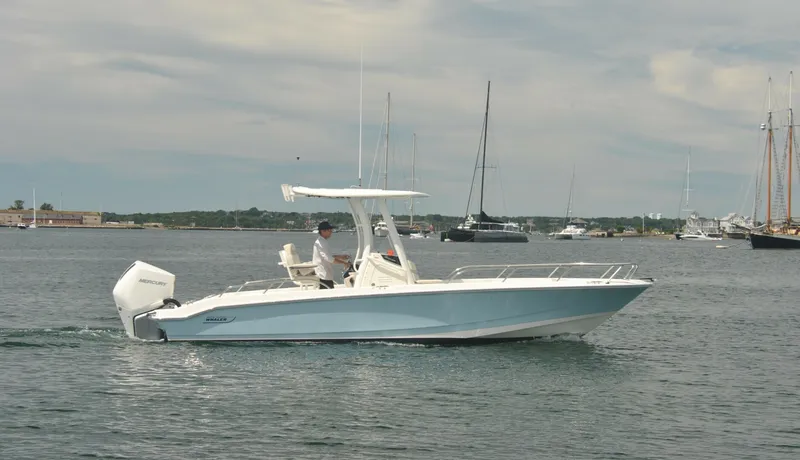 The Image of Boston Whaler 250 Dauntless 2024 - 0