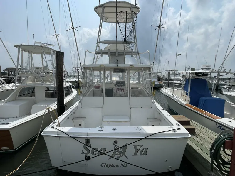 Slide: The Image of Luhrs Tournament 290 Open 1993 - 16