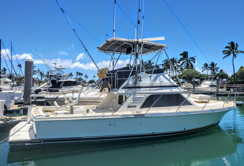 The Image of Blackfin Flybridge 1992 - 0