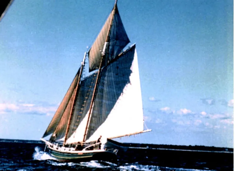 Slide: The Image of Concordia R.D. "Pete" Culler 1966 - 3