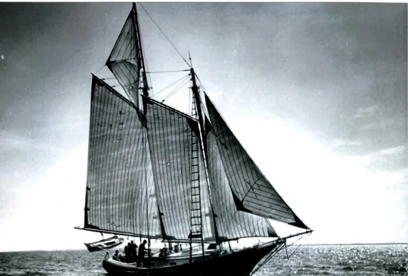 Slide: The Image of Concordia R.D. "Pete" Culler 1966 - 4