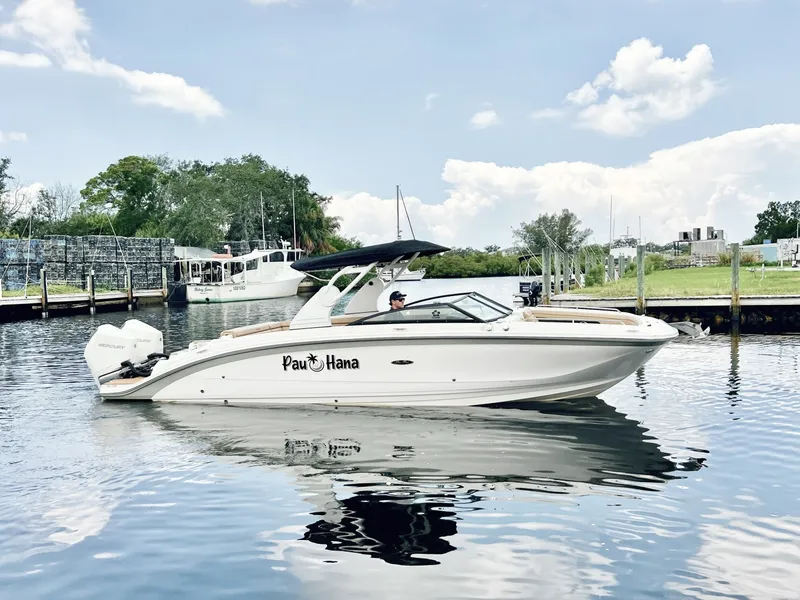 The Image of Sea Ray SDX 290 OB 2019 - 0