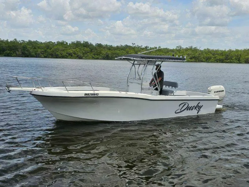 The Image of Dusky 256 Center Console 1999 - 0