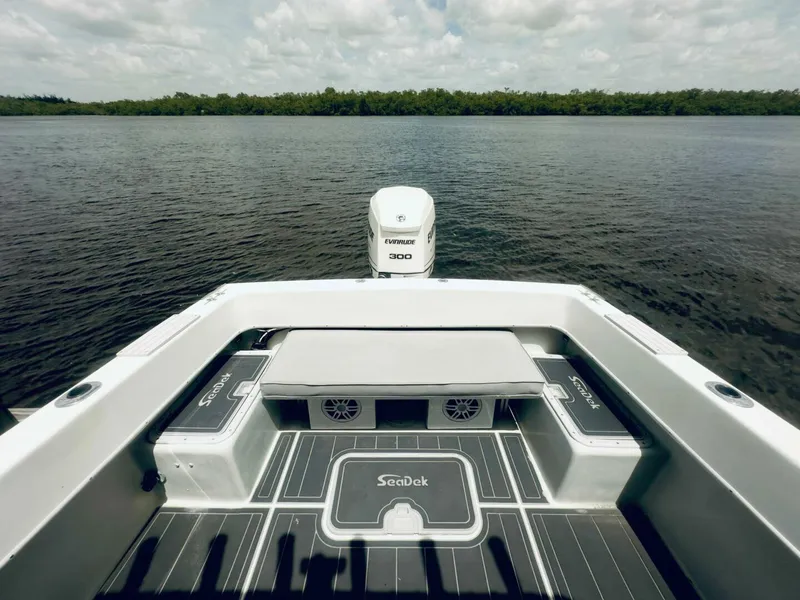 Slide: The Image of Dusky 256 Center Console 1999 - 6