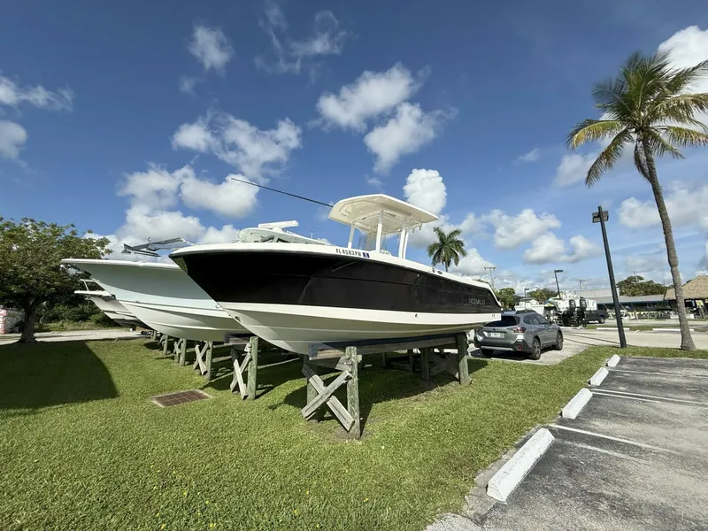 Slide: The Image of Robalo 2015 - 2