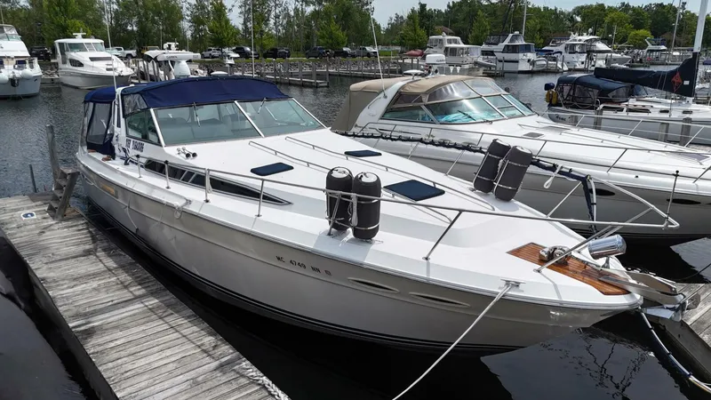 The Image of Sea Ray 390 Express Cruiser 1988 - 0