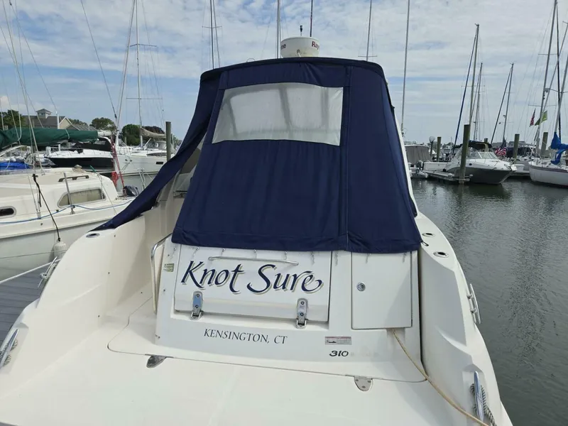 Slide: The Image of Sea Ray 310 Sundancer 2007 - 31