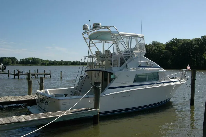 Slide: The Image of Bertram 33 Sport Fisherman 1987 - 4