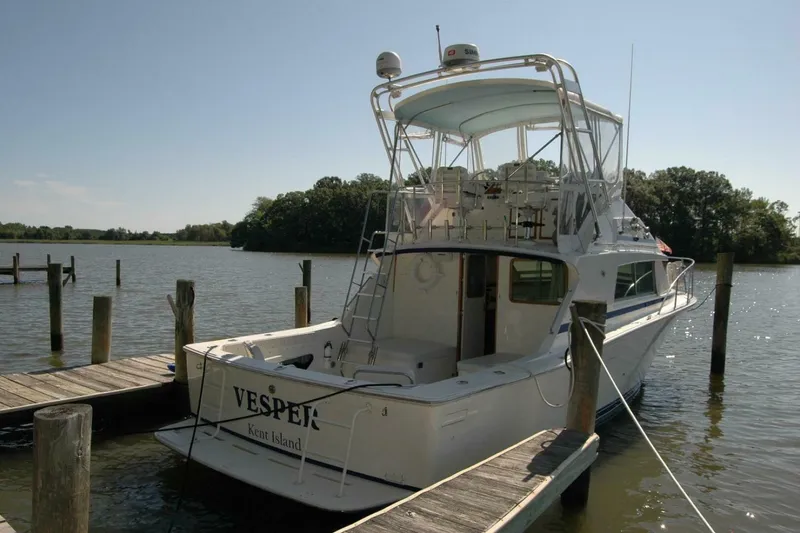Slide: The Image of Bertram 33 Sport Fisherman 1987 - 5