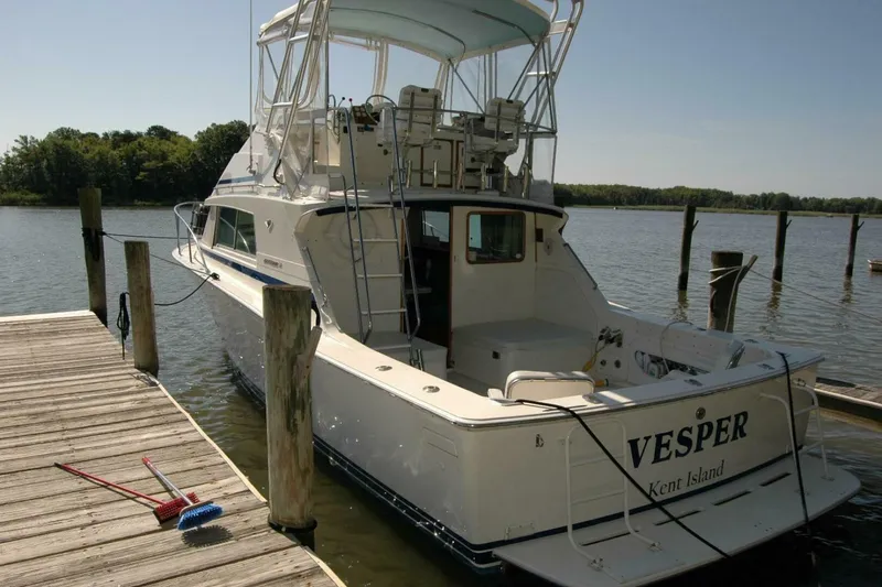Slide: The Image of Bertram 33 Sport Fisherman 1987 - 8
