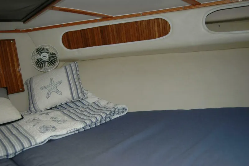 Slide: The Image of Bertram 33 Sport Fisherman 1987 - 90