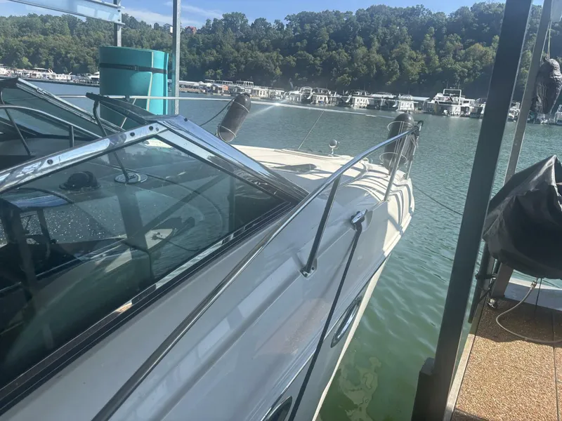 Slide: The Image of Sea Ray 290 Sundancer 2008 - 38