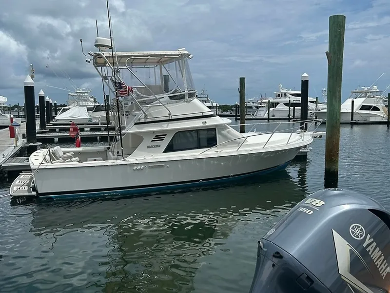 The Image of Blackfin Sportfish 1994 - 0