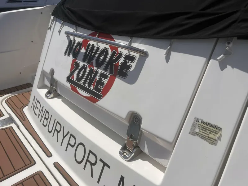 Slide: The Image of Sea Ray Sundancer 310 2008 - 14