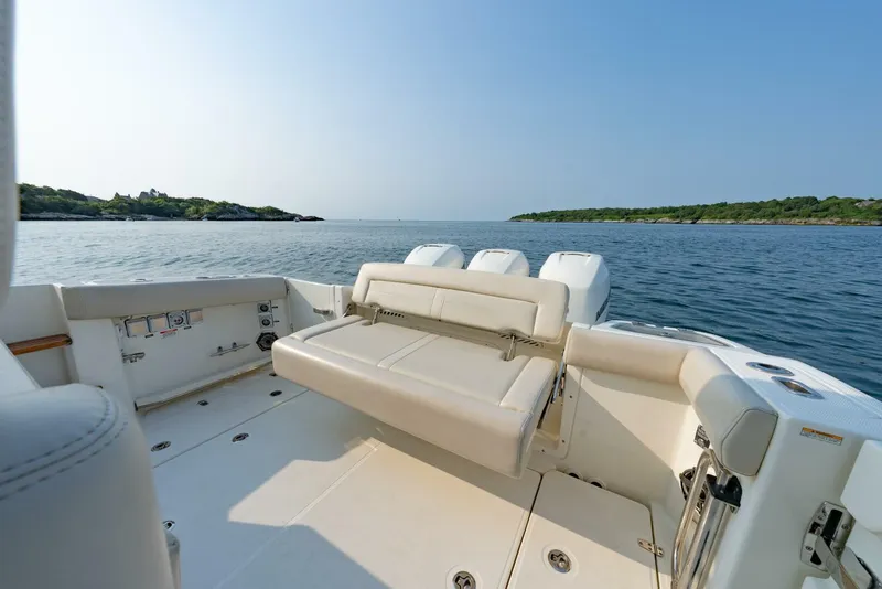 Slide: The Image of Boston Whaler 350 EX Realm 2019 - 22