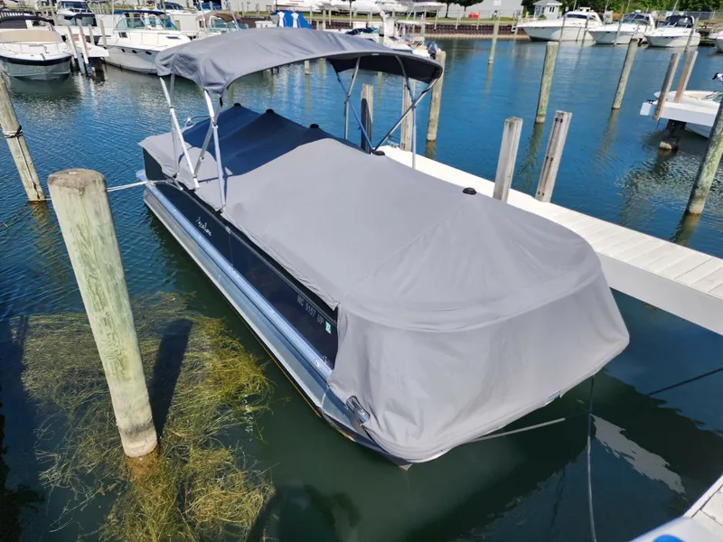 The Image of Avalon 2021 - 0