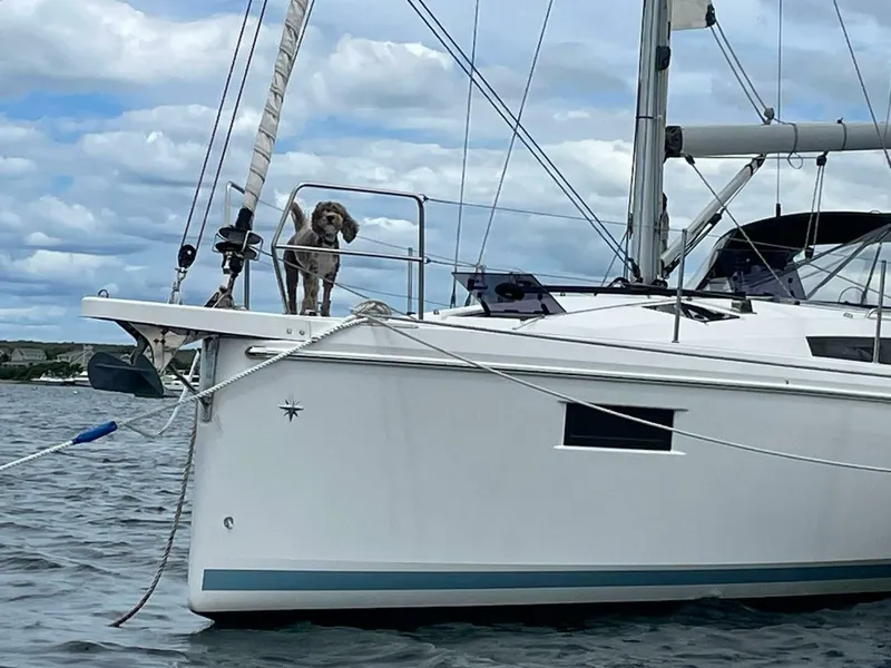 Slide: The Image of Jeanneau Sun Odyssey 410 2020 - 15