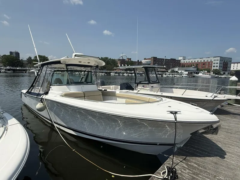 The Image of Pursuit ST 310 Sport Tender 2015 - 0