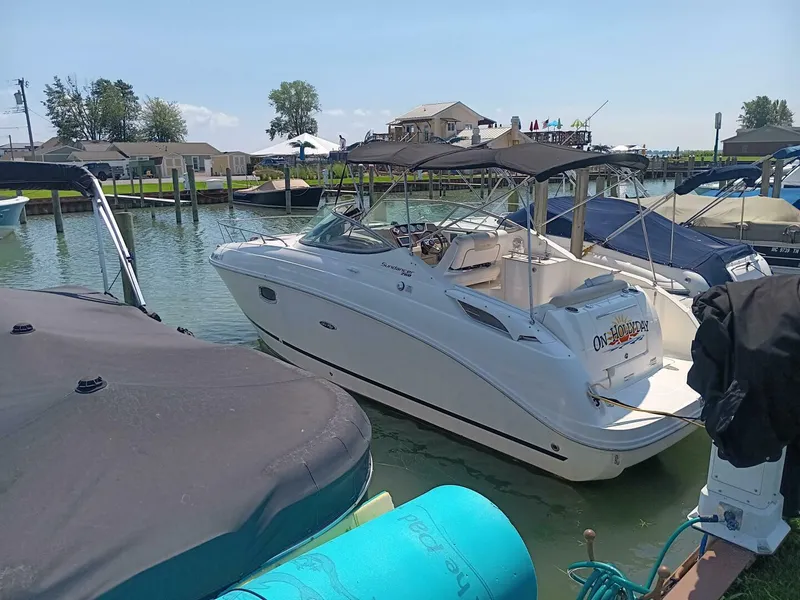 The Image of Sea Ray 260 Sundancer 2010 - 0
