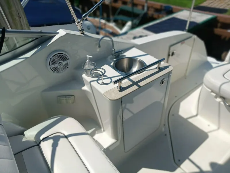 Slide: The Image of Sea Ray 260 Sundancer 2010 - 14