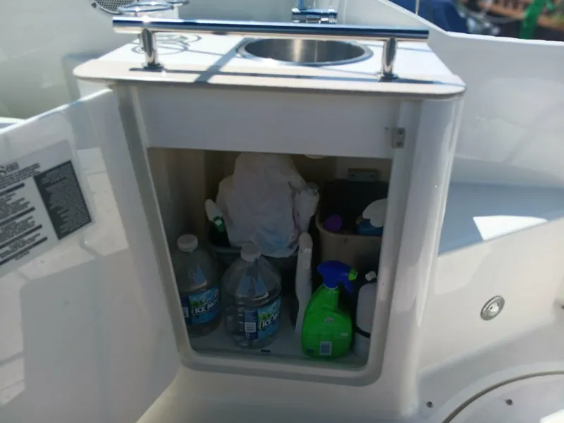 Slide: The Image of Sea Ray 260 Sundancer 2010 - 15