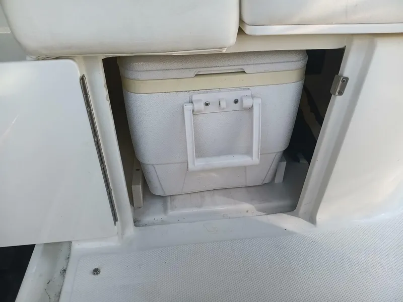 Slide: The Image of Sea Ray 260 Sundancer 2010 - 16