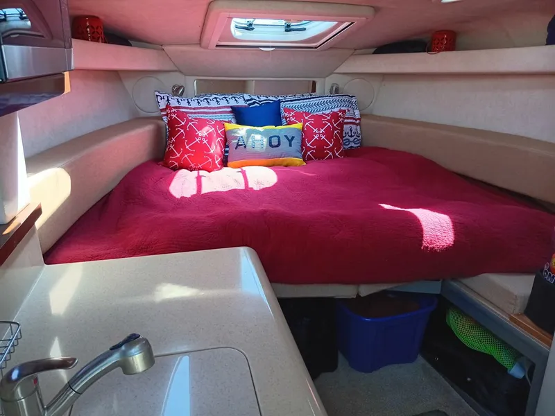 Slide: The Image of Sea Ray 260 Sundancer 2010 - 28