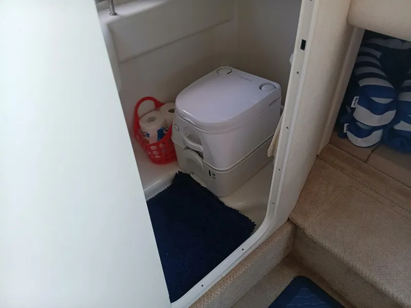 Slide: The Image of Sea Ray 260 Sundancer 2010 - 32