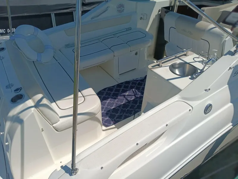 Slide: The Image of Sea Ray 260 Sundancer 2010 - 4