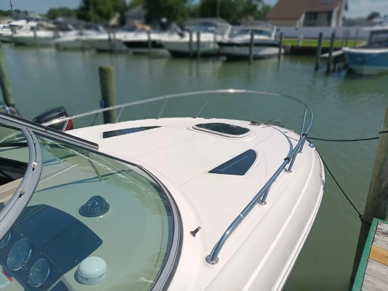 Slide: The Image of Sea Ray 260 Sundancer 2010 - 6