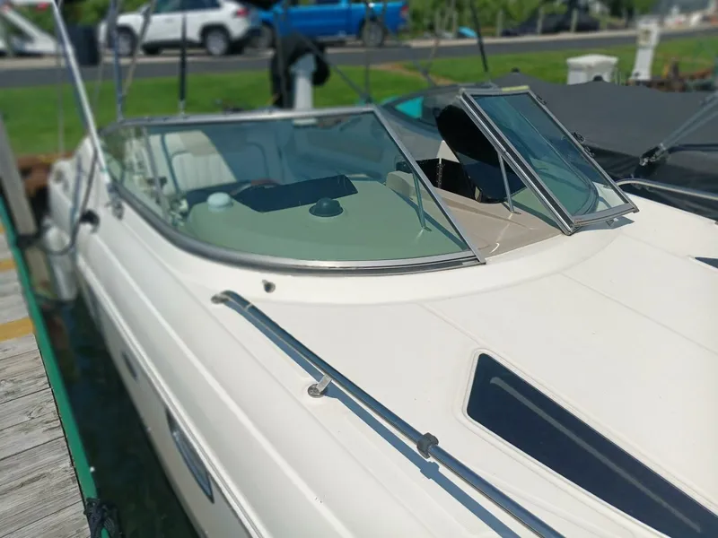 Slide: The Image of Sea Ray 260 Sundancer 2010 - 7