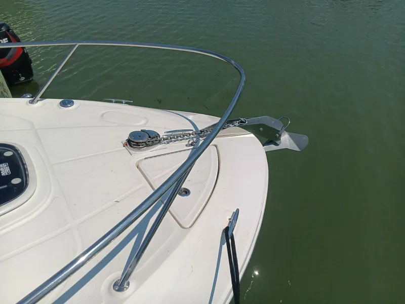 Slide: The Image of Sea Ray 260 Sundancer 2010 - 8