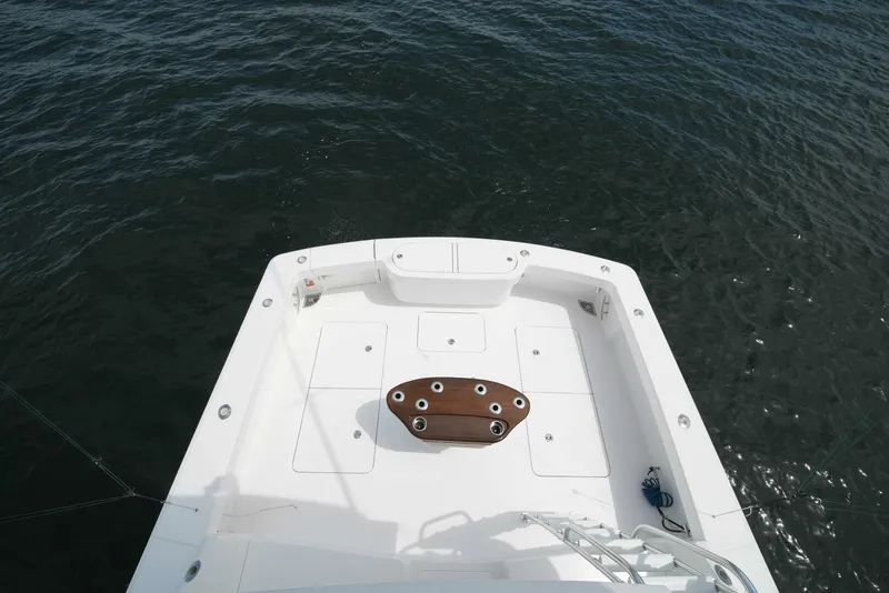 Slide: The Image of Viking 46 Billfish 2025 - 12