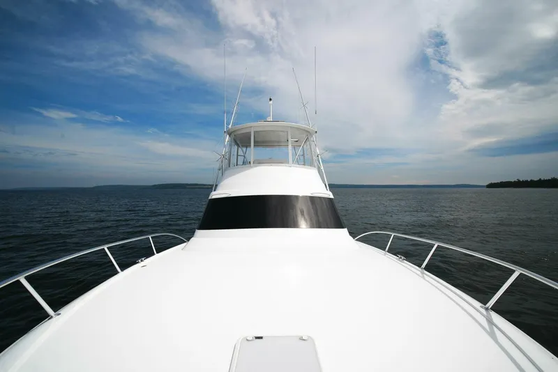 Slide: The Image of Viking 46 Billfish 2025 - 8