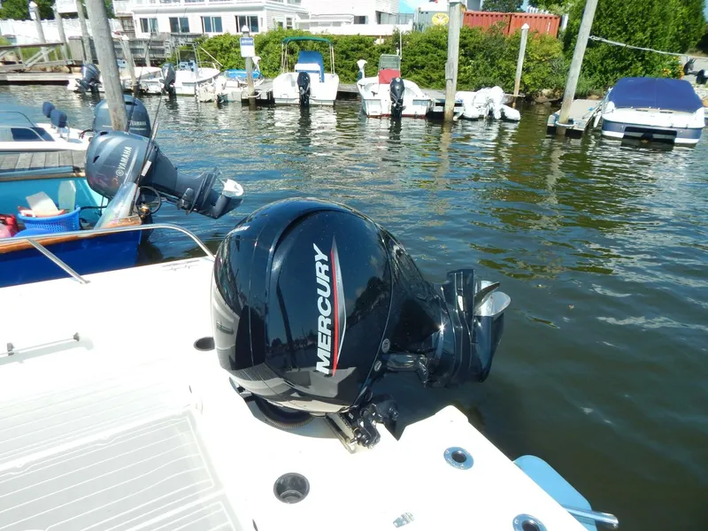 Slide: The Image of Boston Whaler 190 Montauk 2020 - 5
