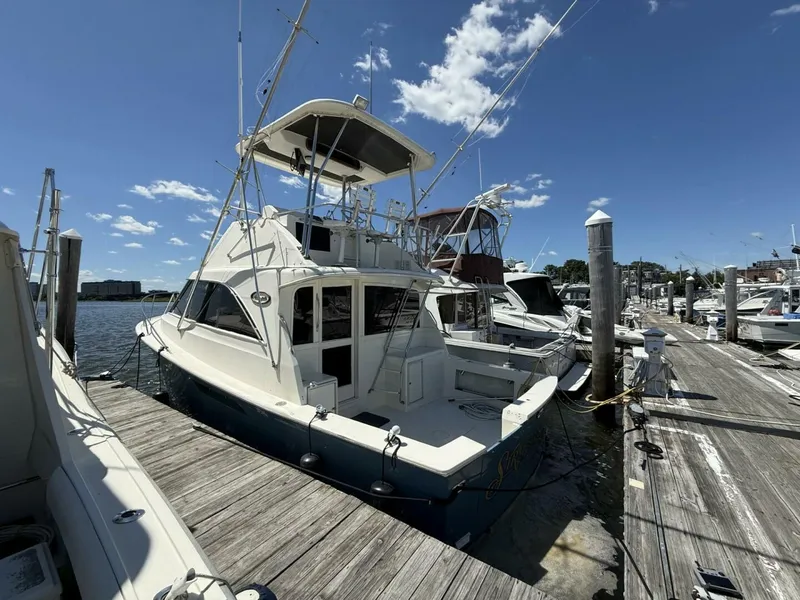 Slide: The Image of Ocean 35 Flybridge 1988 - 3