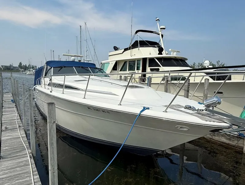 The Image of Sea Ray 460 Express Cruiser 1989 - 0