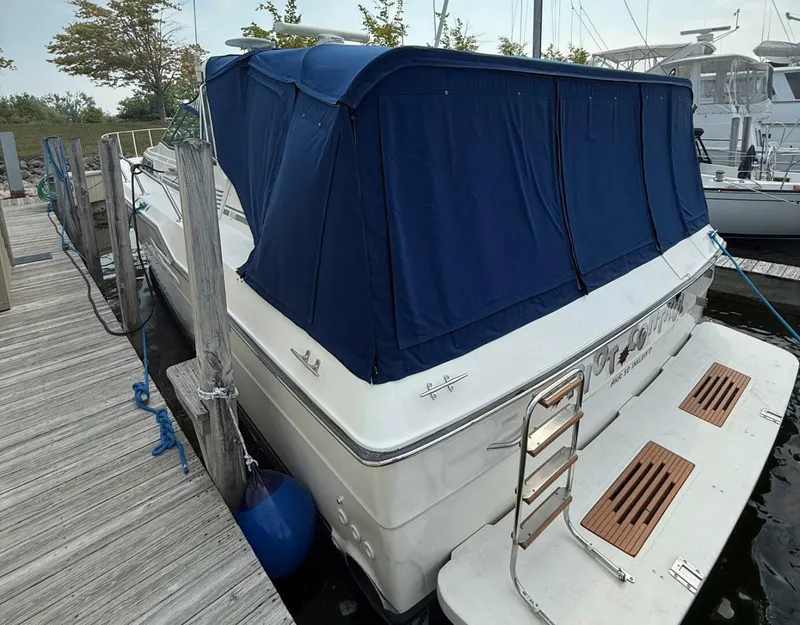 Slide: The Image of Sea Ray 460 Express Cruiser 1989 - 4