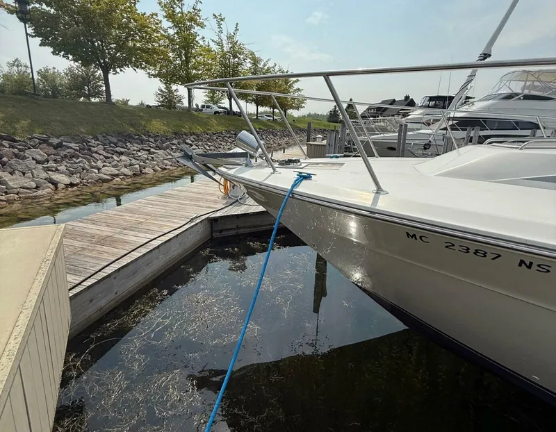 Slide: The Image of Sea Ray 460 Express Cruiser 1989 - 9