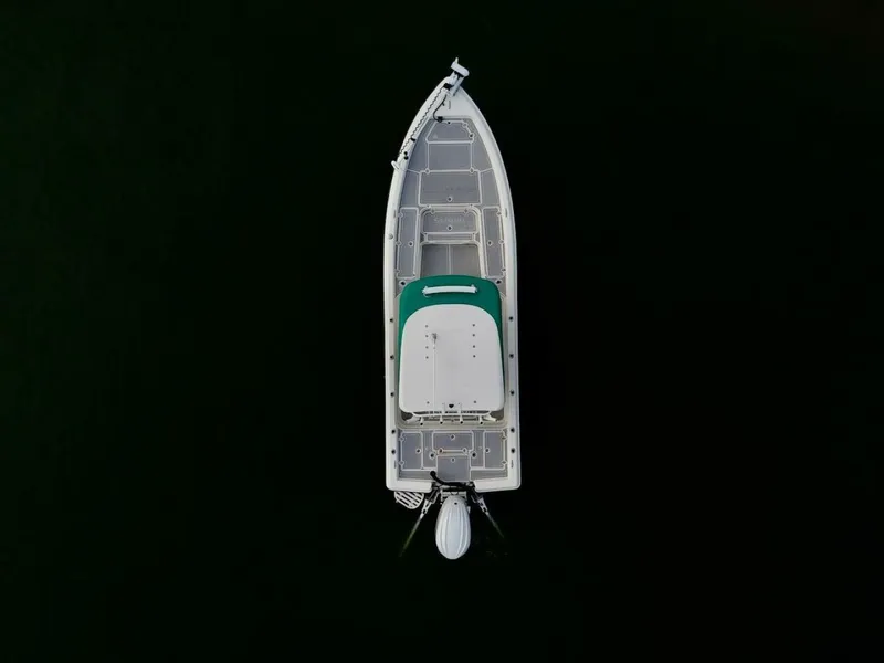 Slide: The Image of Shearwater 2009 - 10