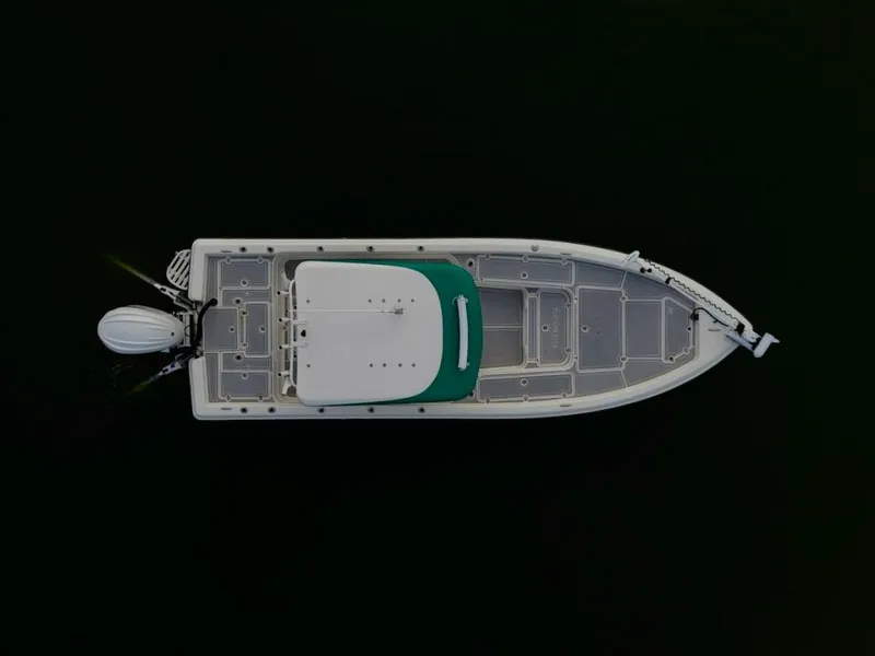 Slide: The Image of Shearwater 2009 - 11