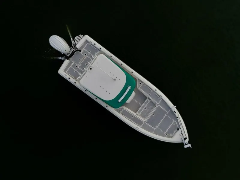 Slide: The Image of Shearwater 2009 - 12