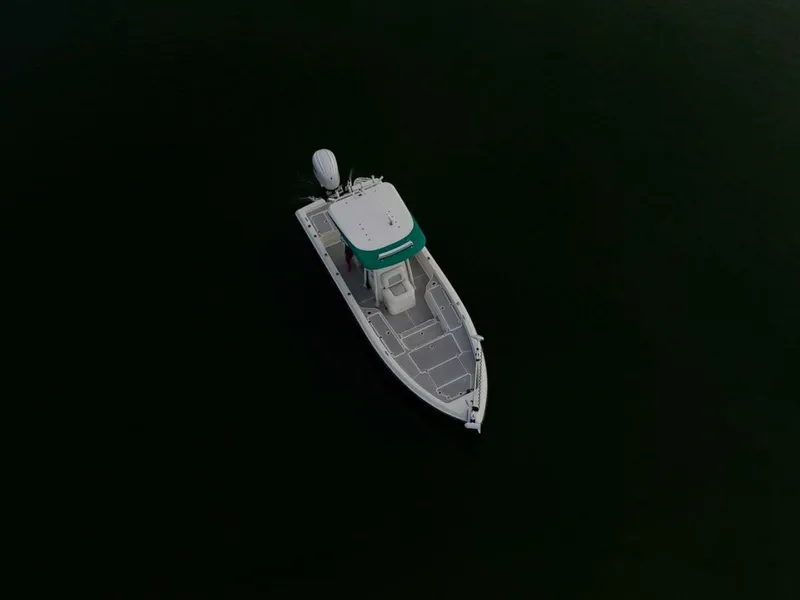 Slide: The Image of Shearwater 2009 - 13